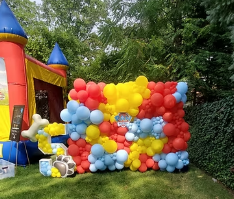 Paw Patrol Primary Colour Balloon Wall — Balloon Walls